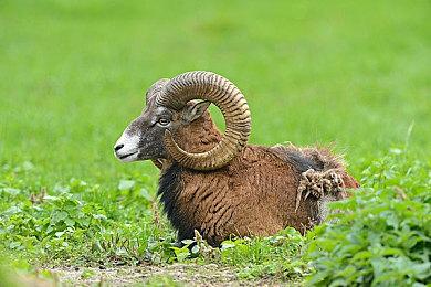 《死亡空间：重制版》优化补丁正在开发中 PC可关闭VRS